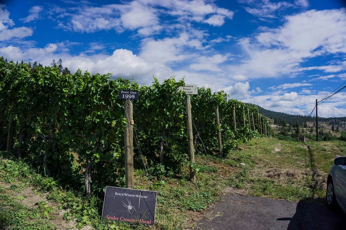 Black Widow Winery