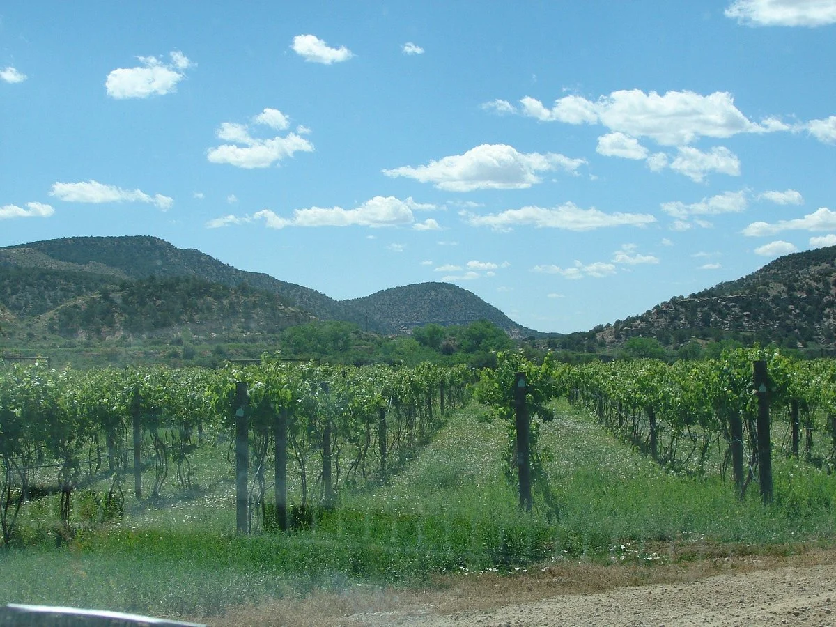 Guy Drew Winery