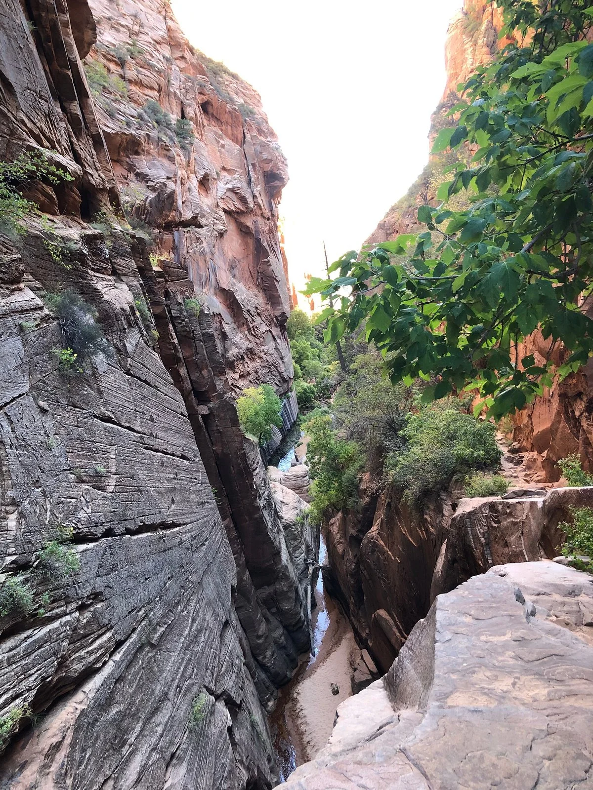 Water Canyon Trailhead