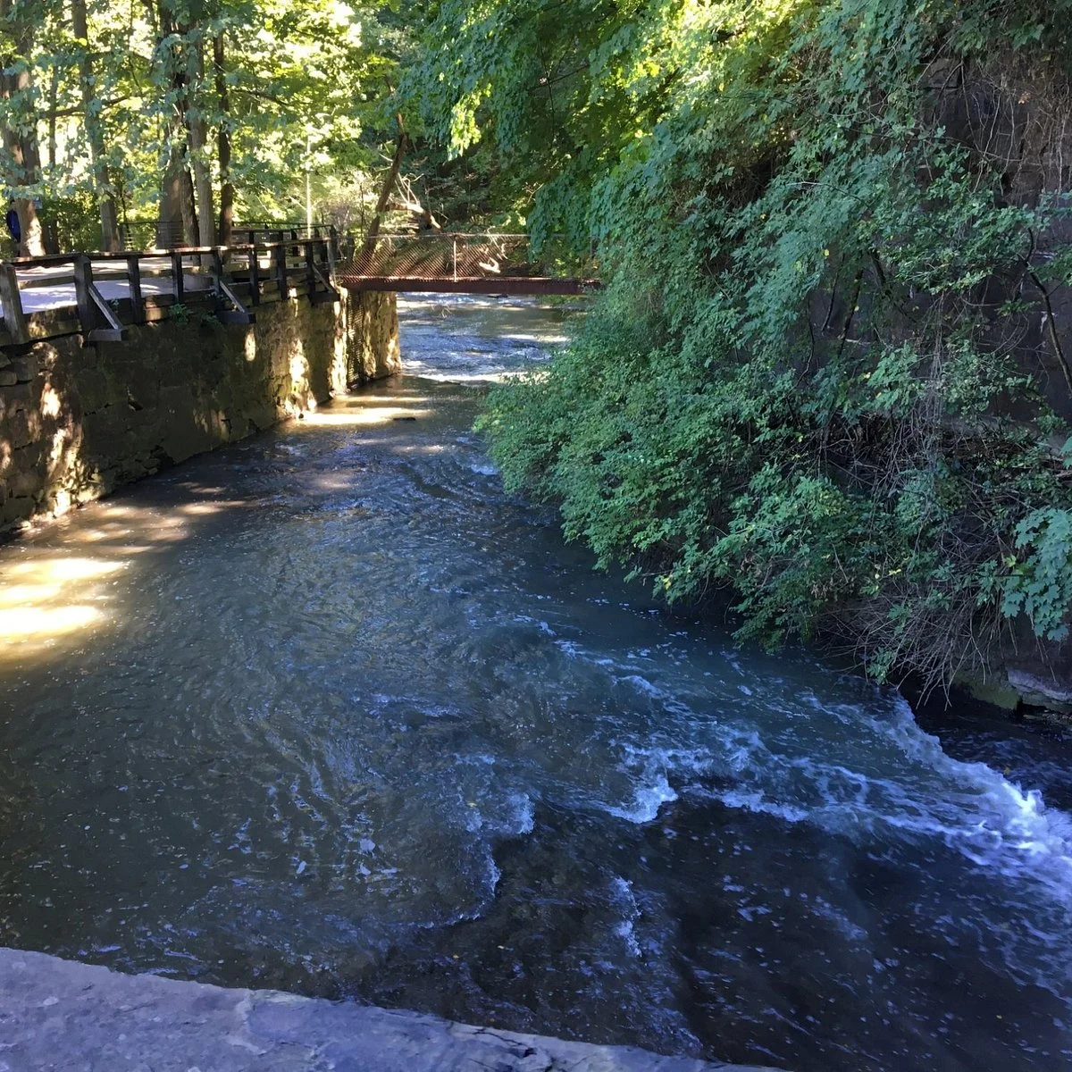 Corbett's Glen Nature Park