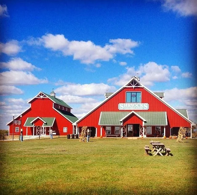 Shryocks Callaway Farms