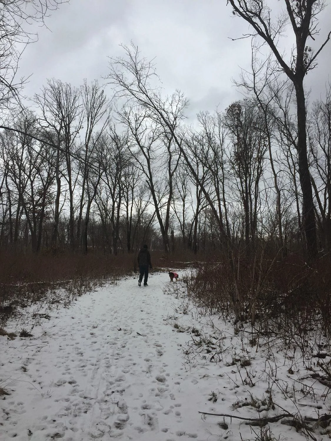 Mahnomen Trail