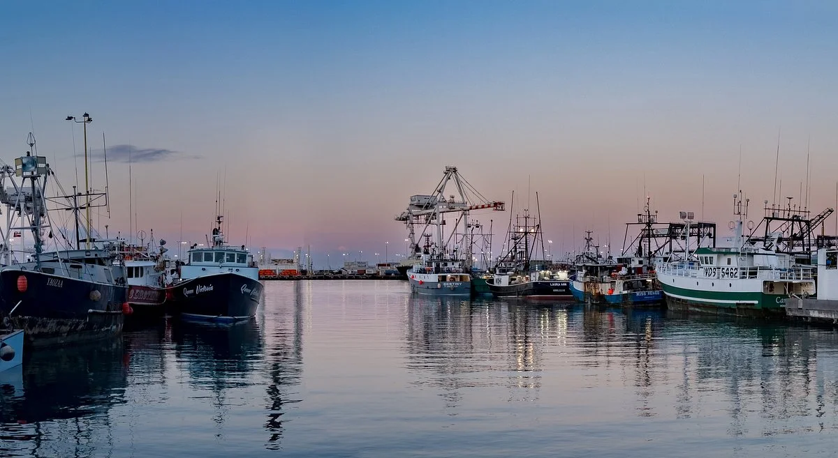 Honolulu Fish Auction