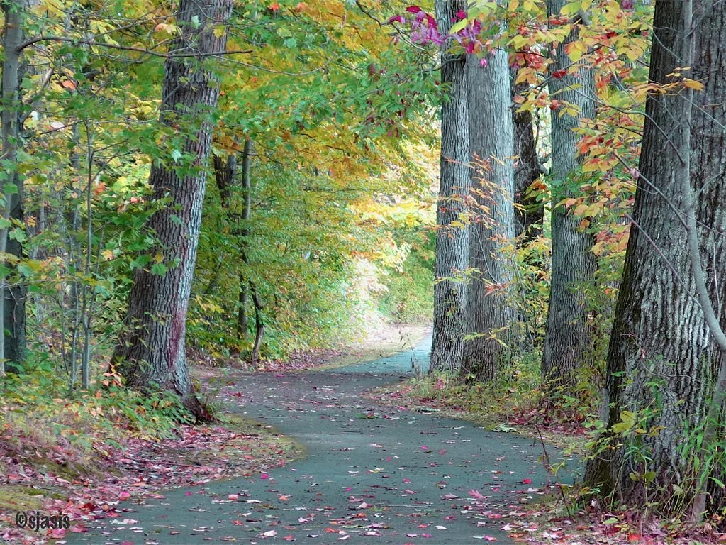 Allegany River Valley Trail