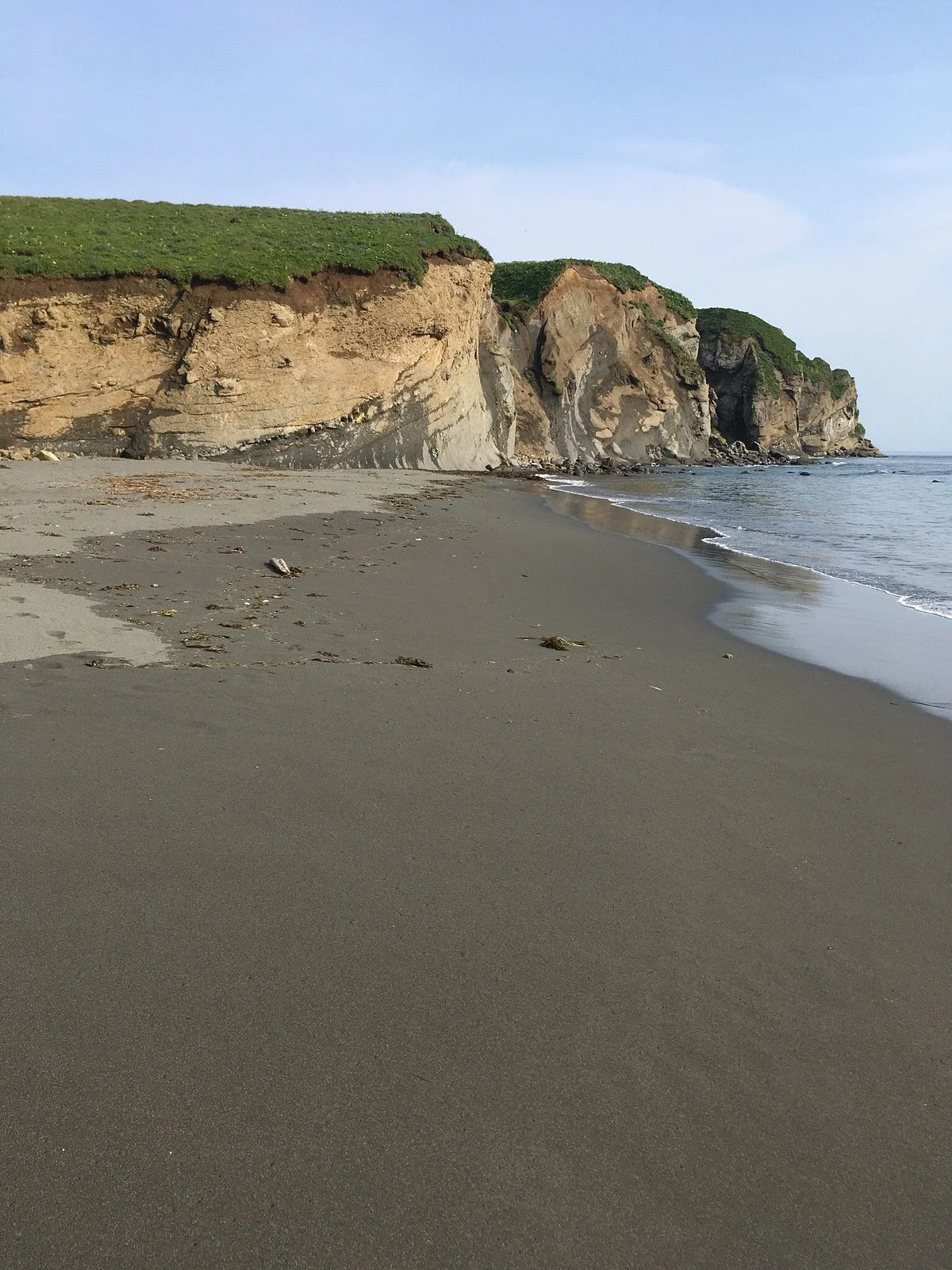 Fossil Beach