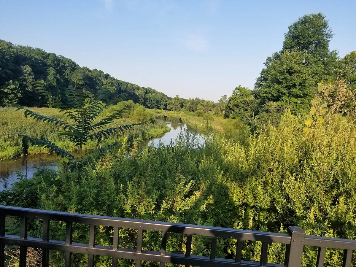 Skillman Park