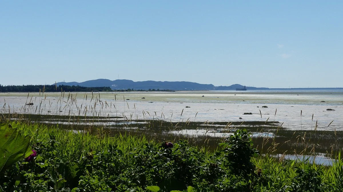 Les Jardins de l'Anse