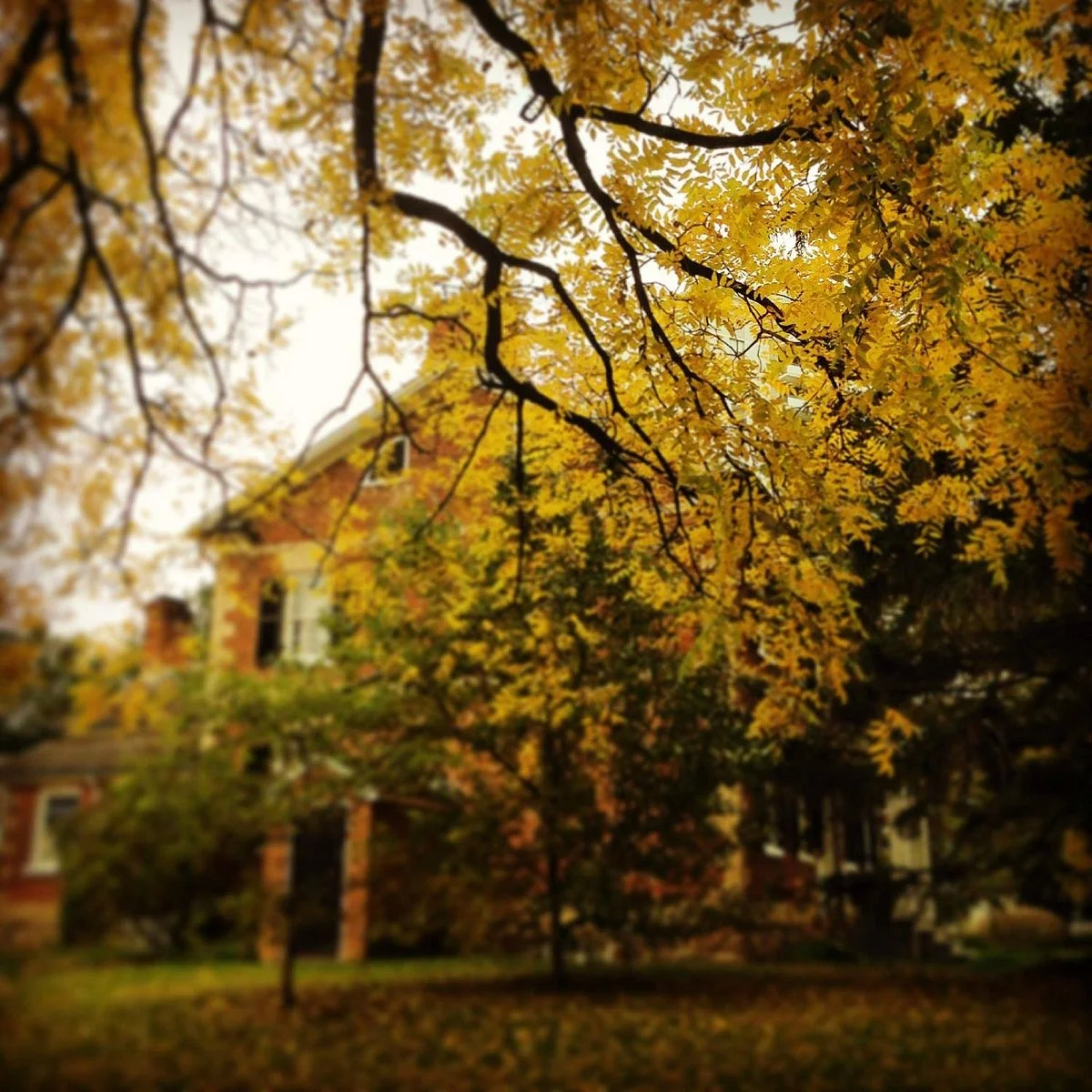 Gibson House Museum