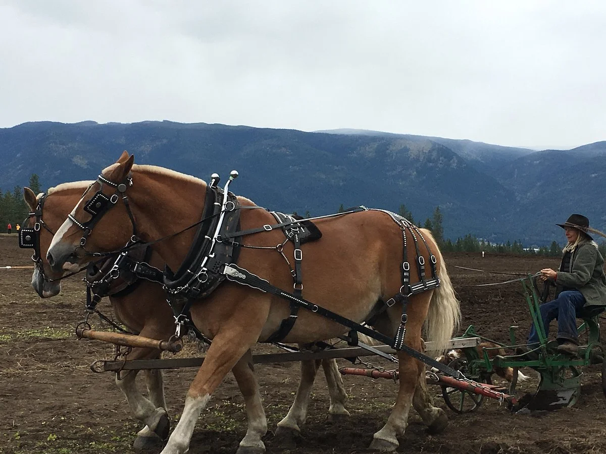 Fieldstone Organics