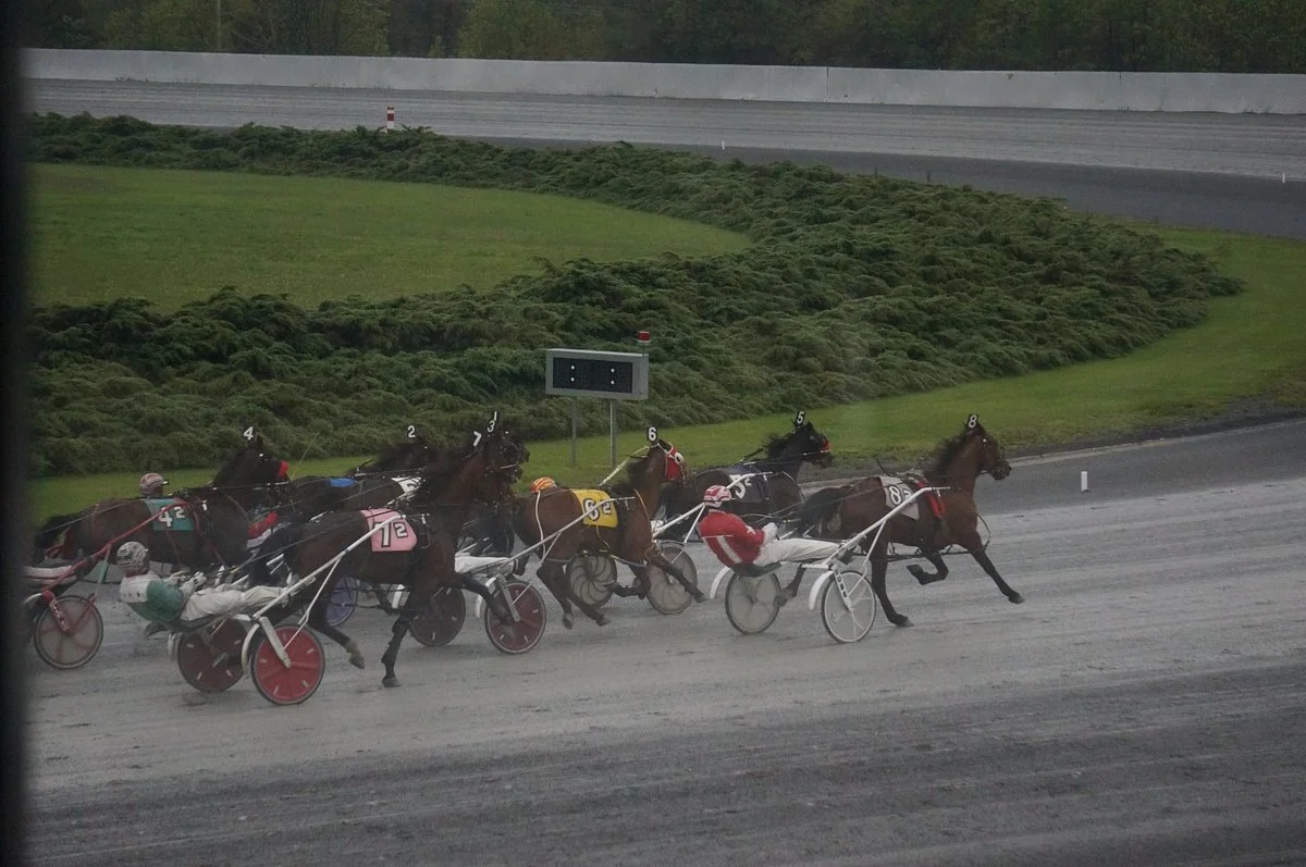 Freehold Raceway