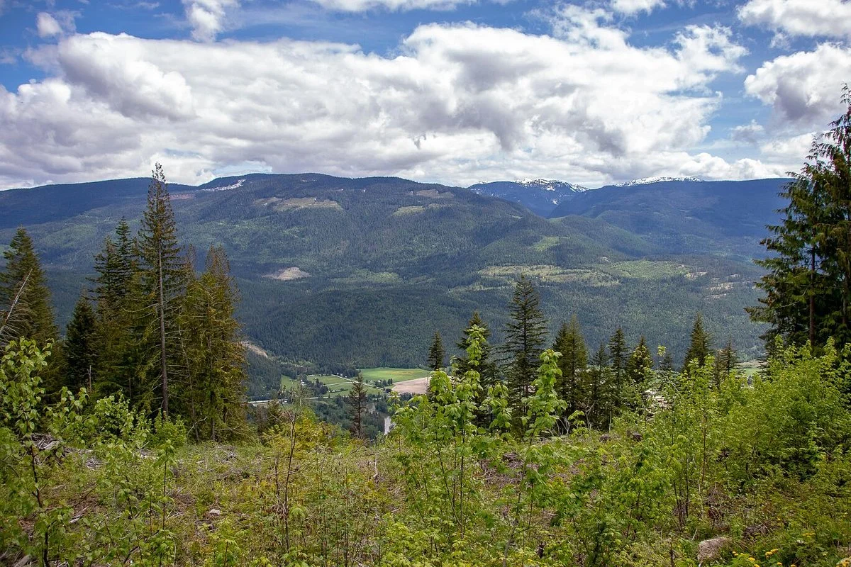 Sicamous Lookout