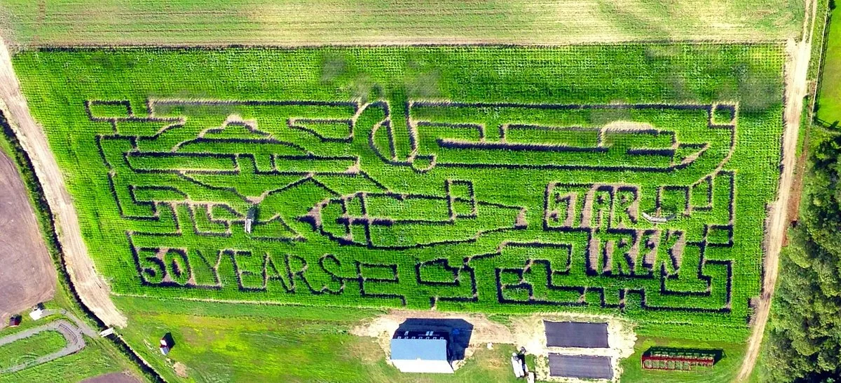 Sauchuk Farm & Corn Maze