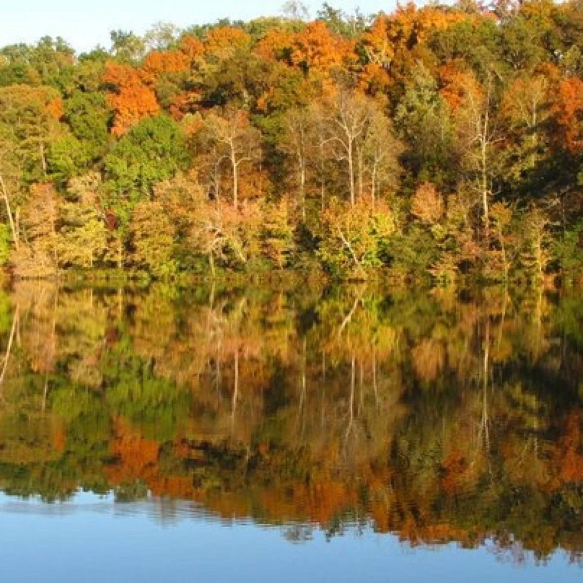 City Of Clay Cosby Lake Park