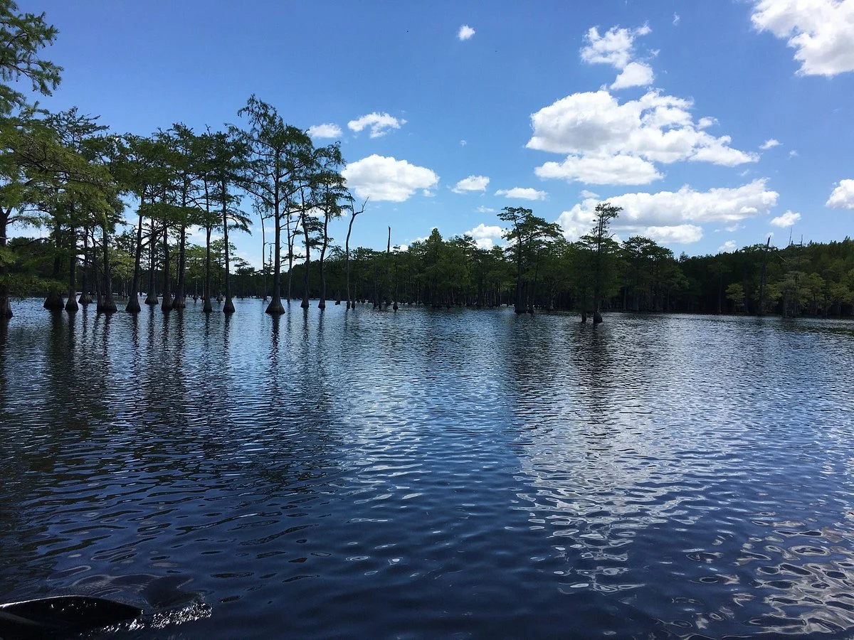 George L. Smith Park
