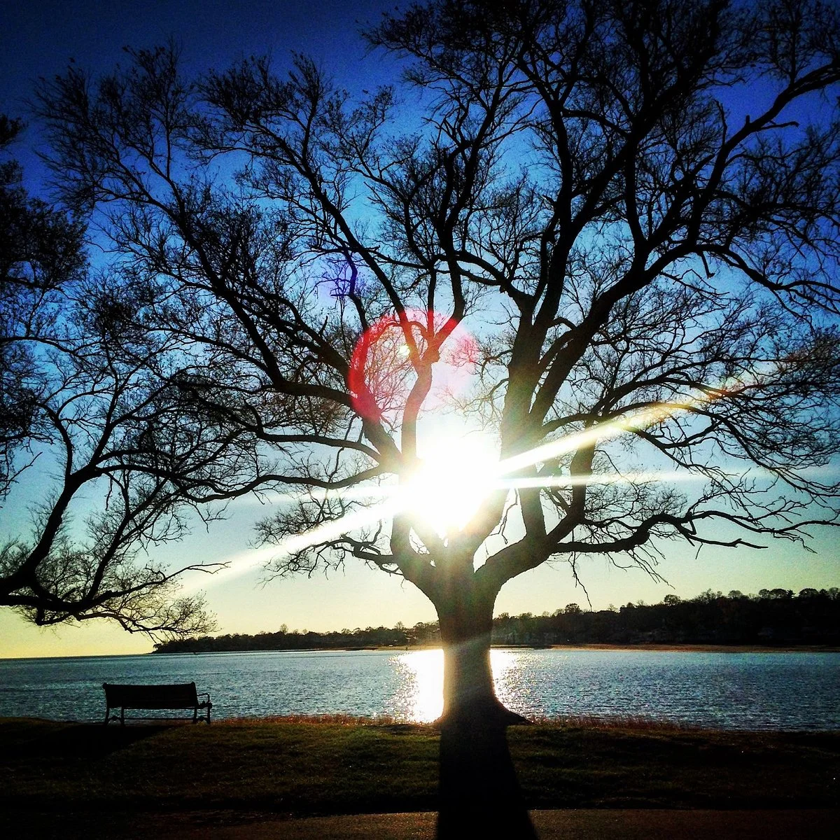 Bradley Point Park