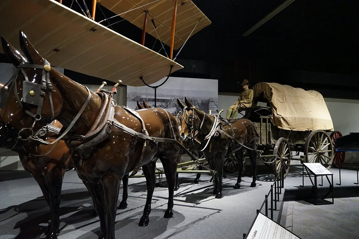 Frontier Army Museum
