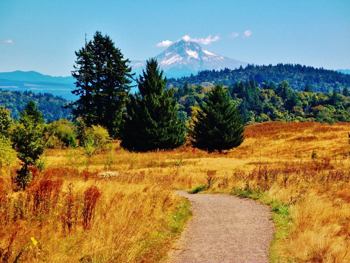 Powell Butte Nature Park