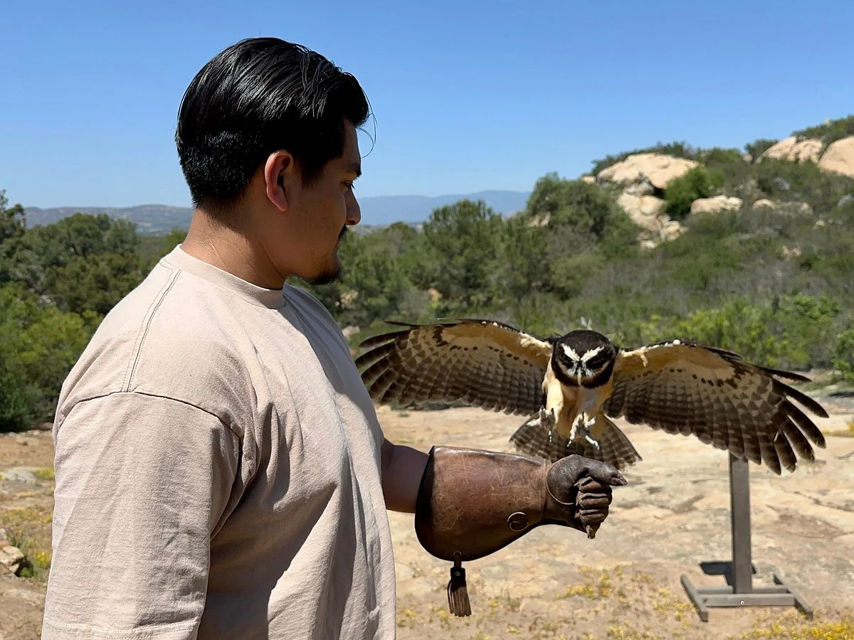 Avian Behavior International