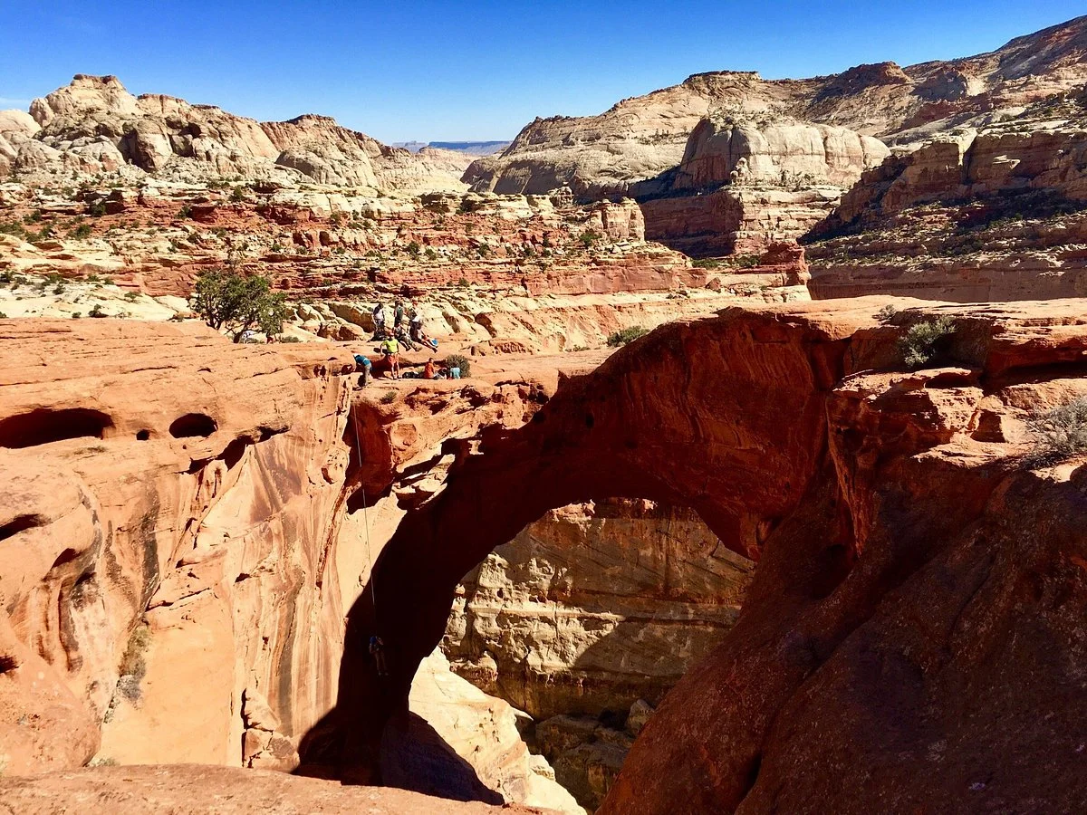 Cassidy Arch