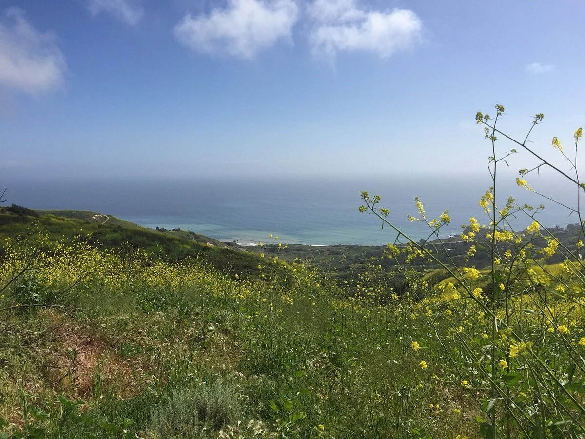 Del Cerro Park