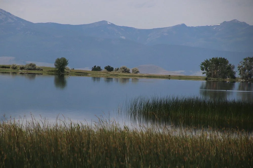 Nine Pipe Reservoir
