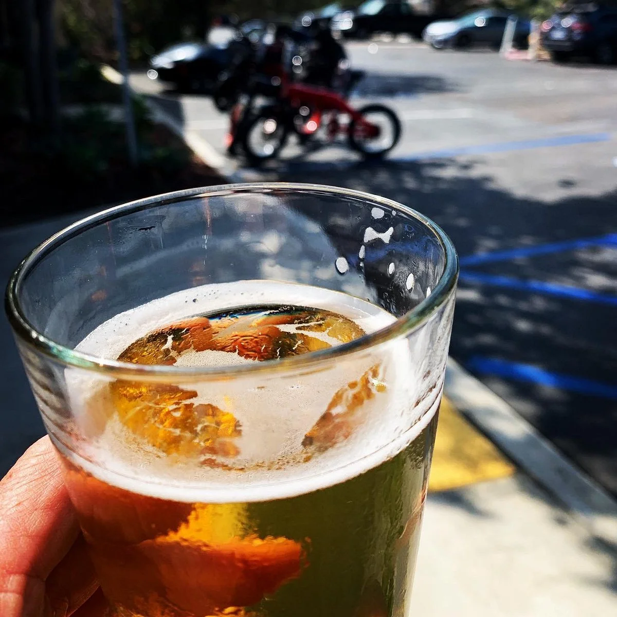 Artifex Brewing Company