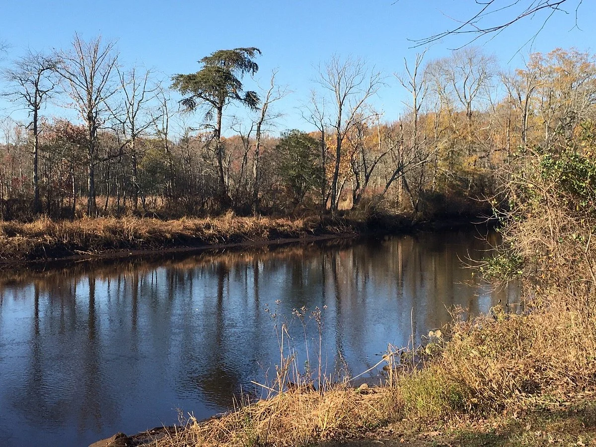 Long Bridge Park