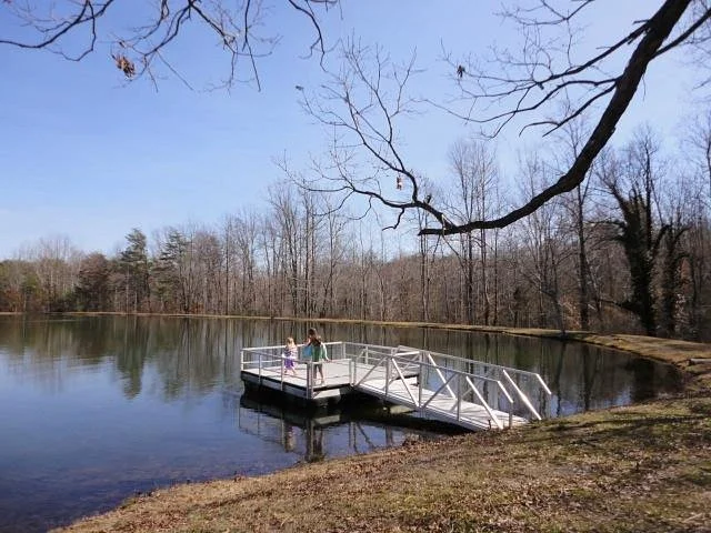 Gilly's Park