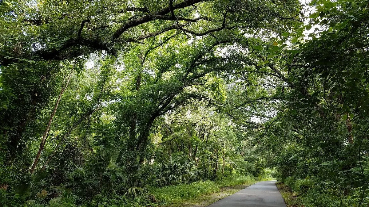 Seminole Wekiva  Trail