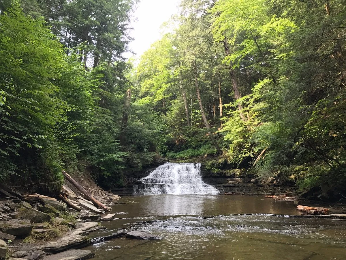 Salt Springs State Park