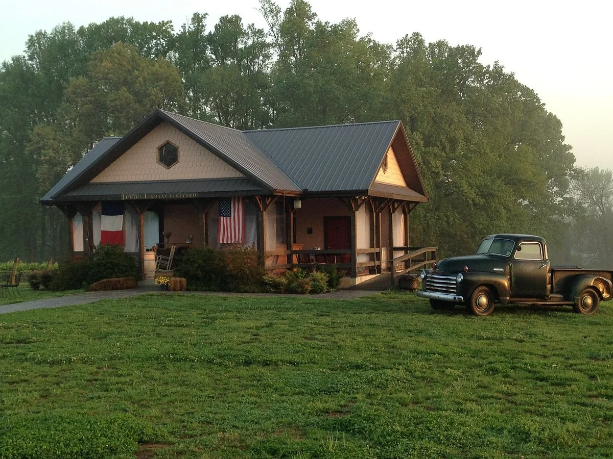 Junius Lindsay Vineyard