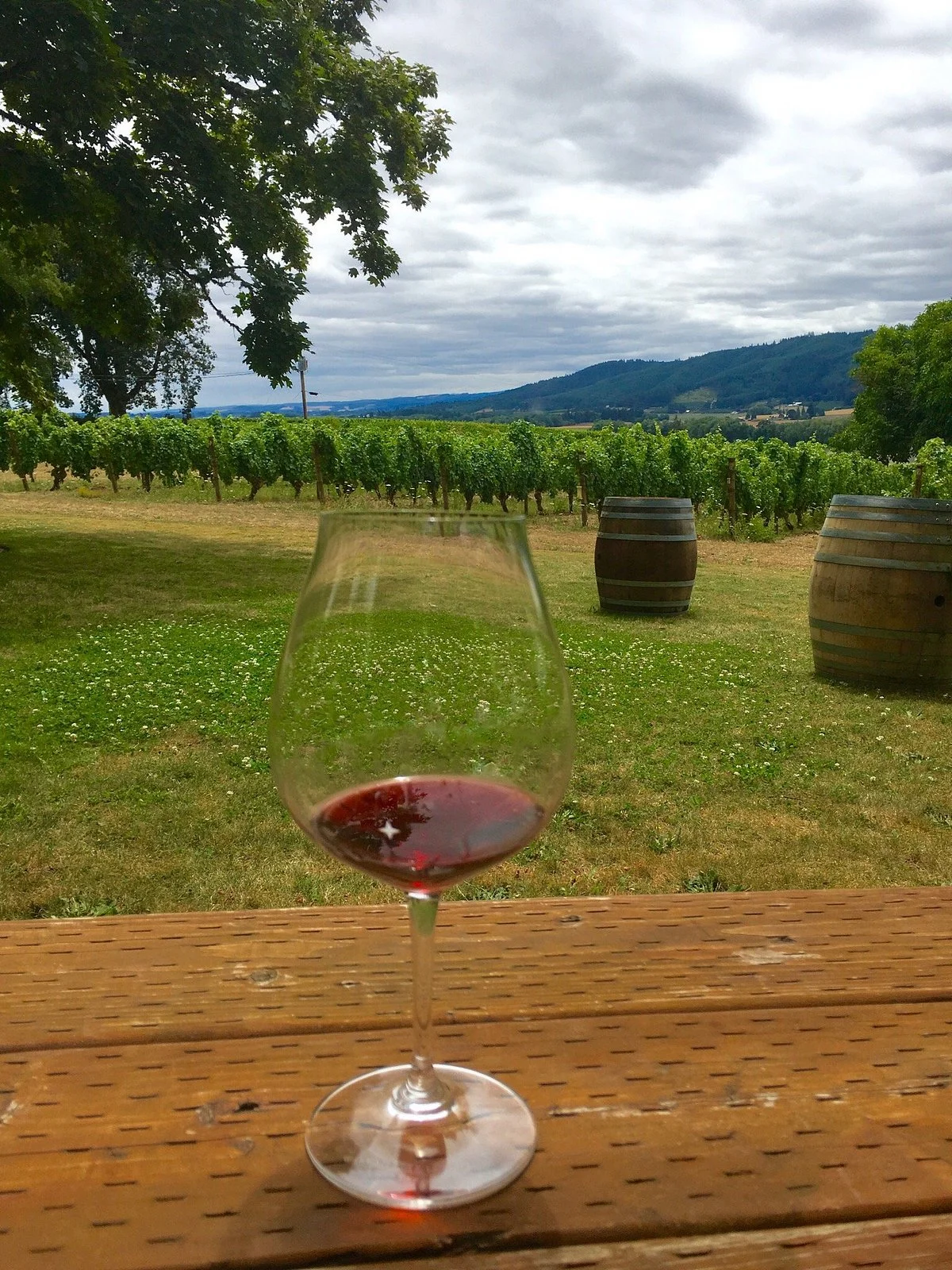 Tualatin Estate Vineyards