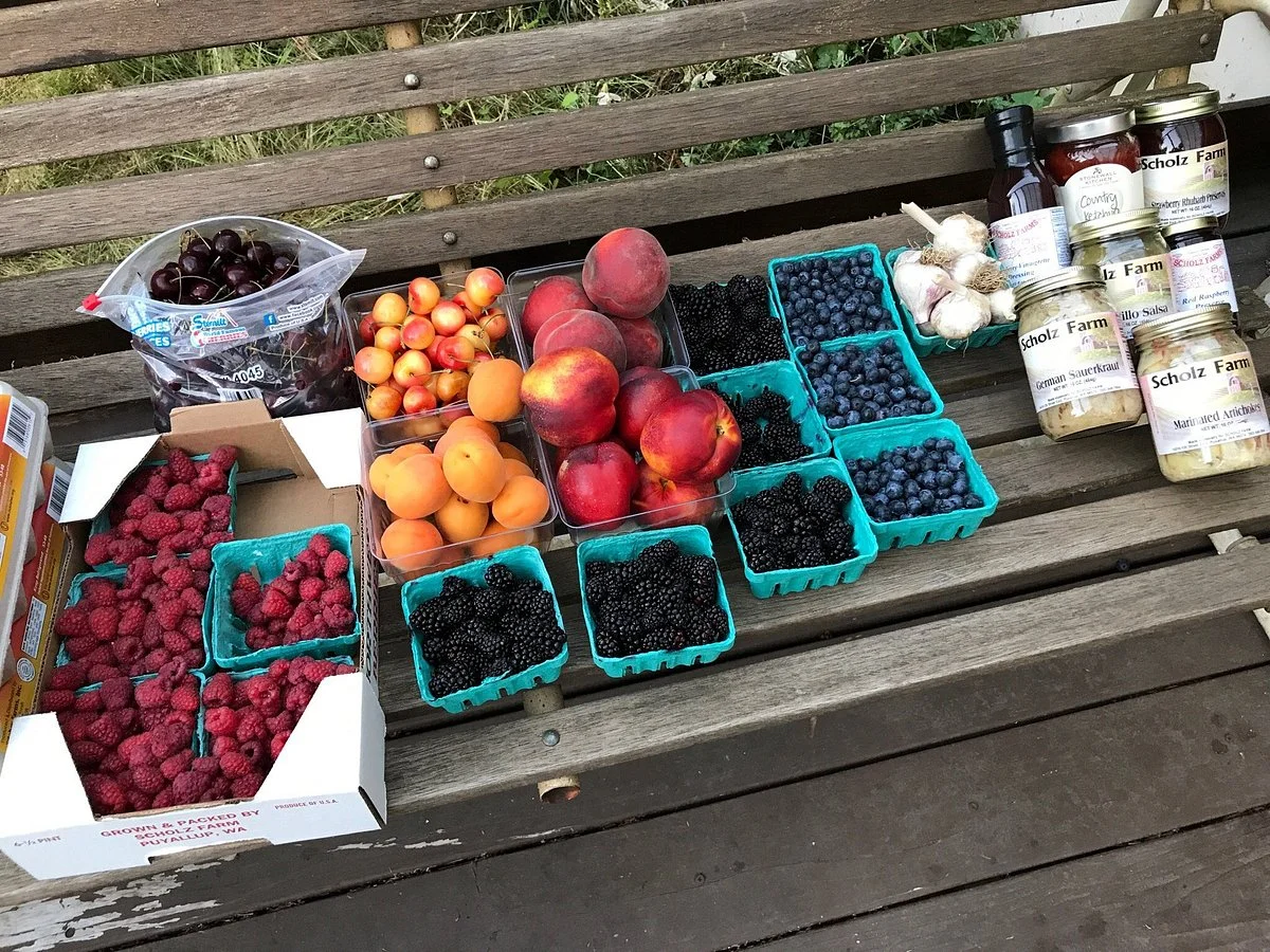 Scholz Farm