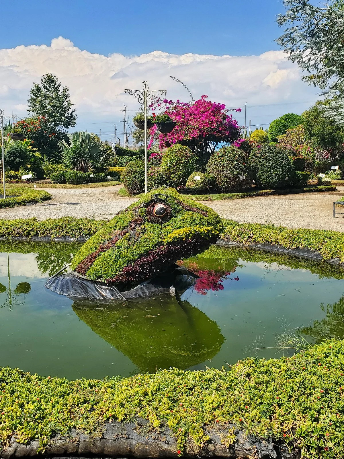 Jardin Magico