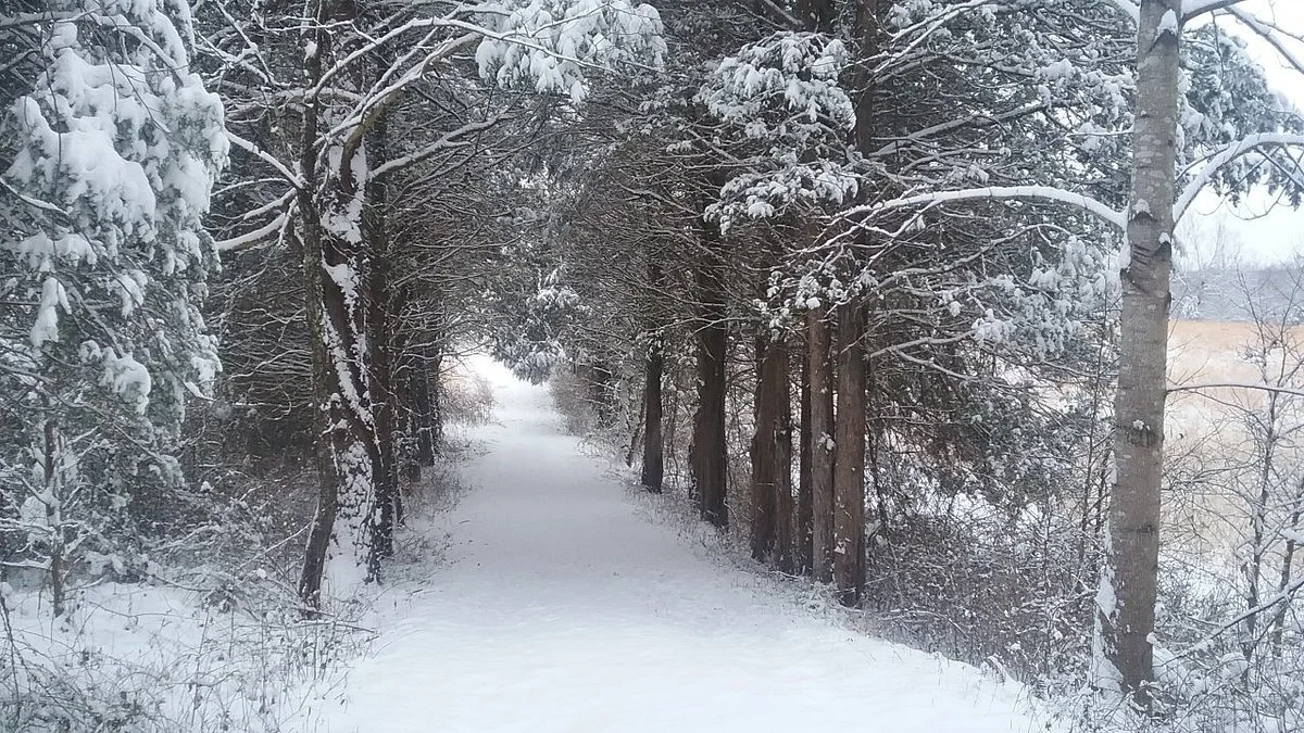 Wilderness National Military Park