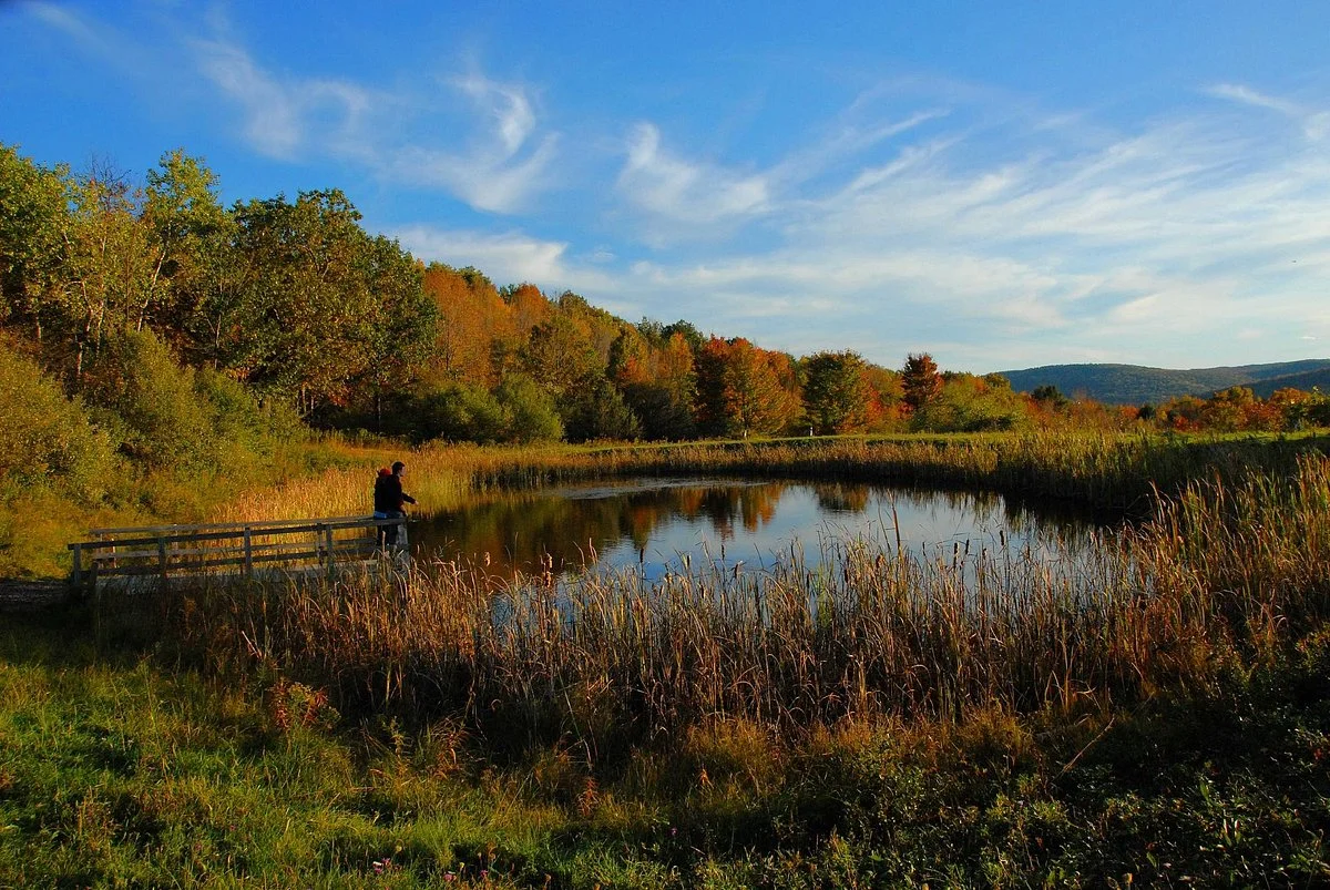 Tanglewood Nature Center & Museum