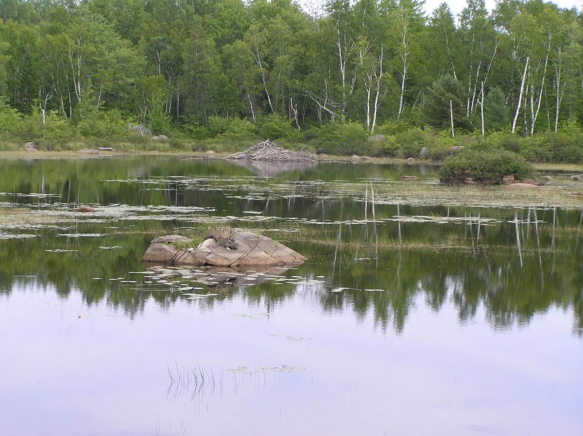 Moosehorn National Wildlife Refuge