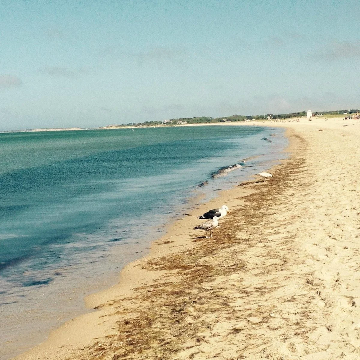 Bend in the Road Beach
