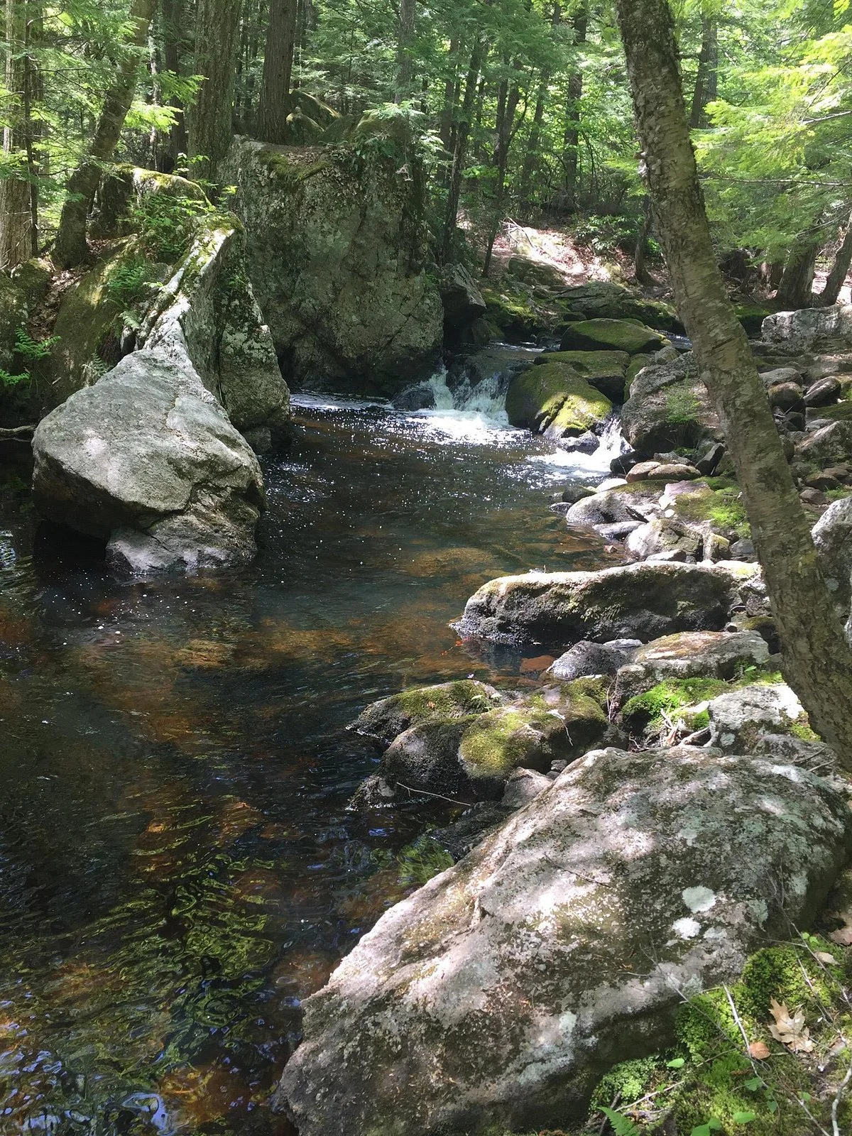 McClellan Trail
