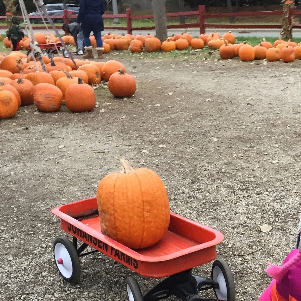 Johansen Farms