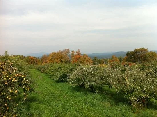 Gould Hill Farm
