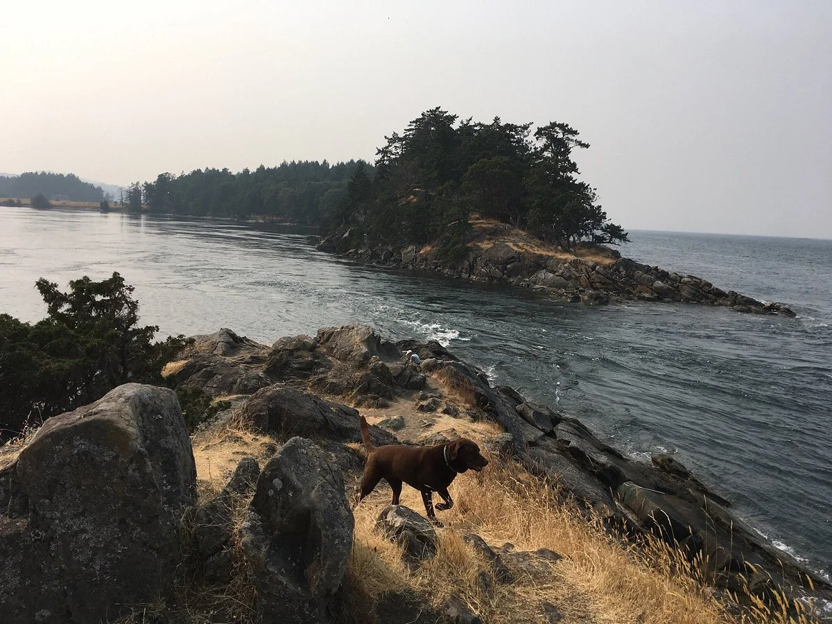 Winter Cove