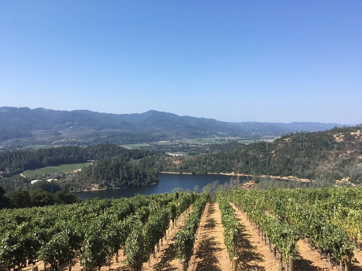 Viader Vineyards & Winery