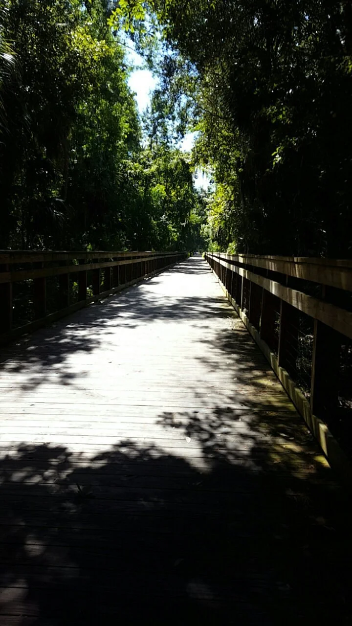 Spring to Spring Trail