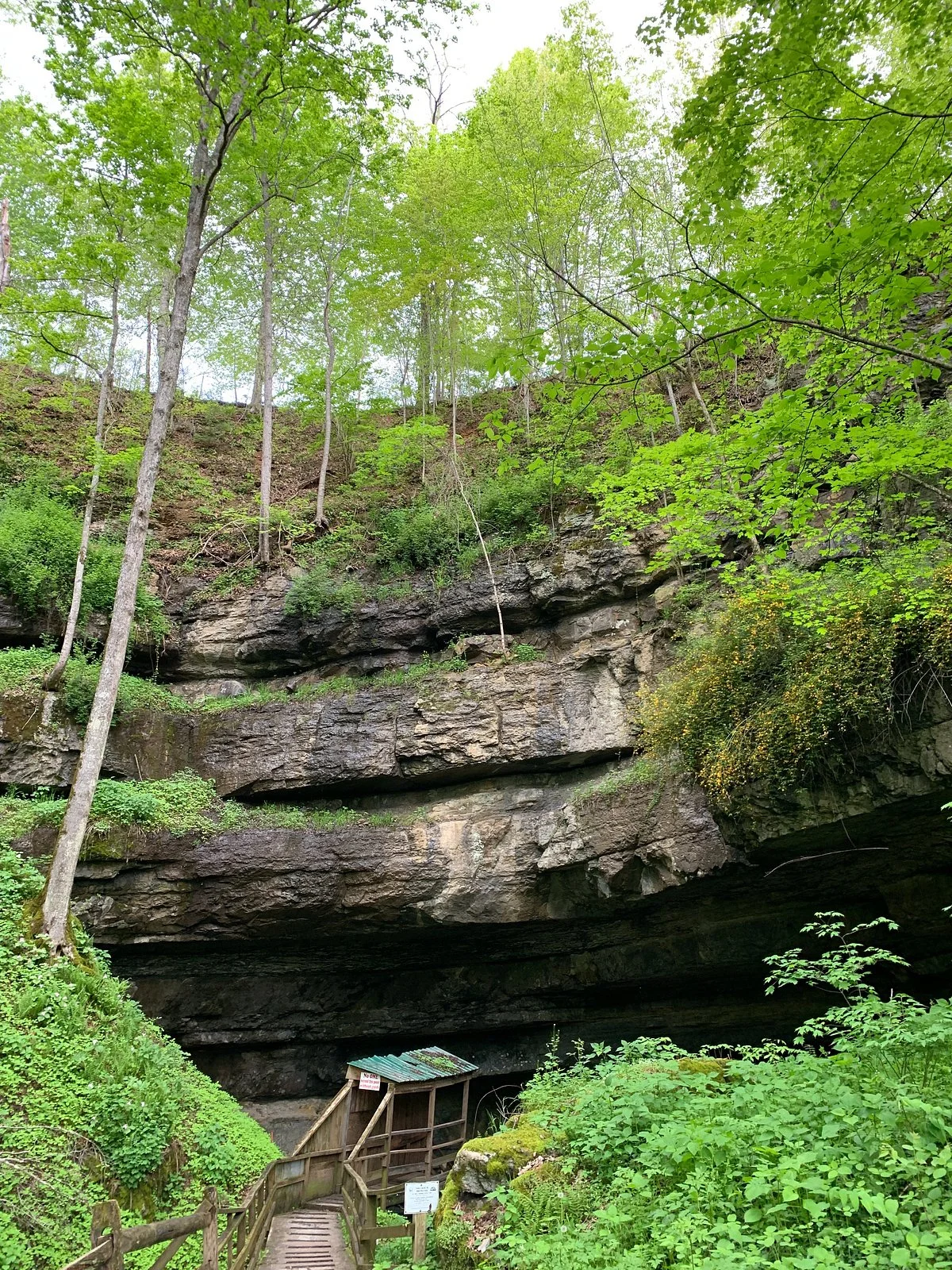 Organ Cave