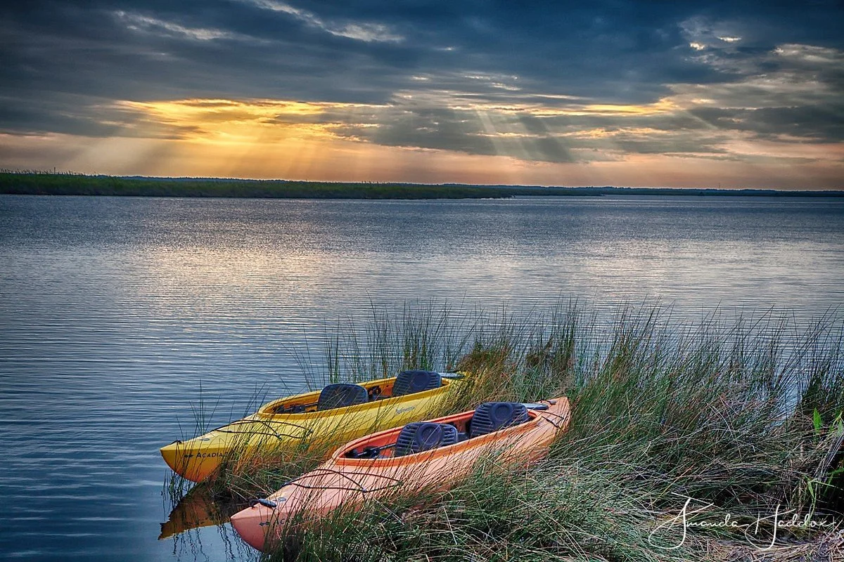Audubon Pine Island Sanctuary and Center