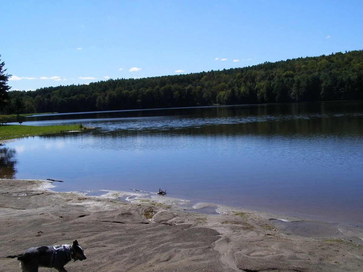 Bowman Lake State Park