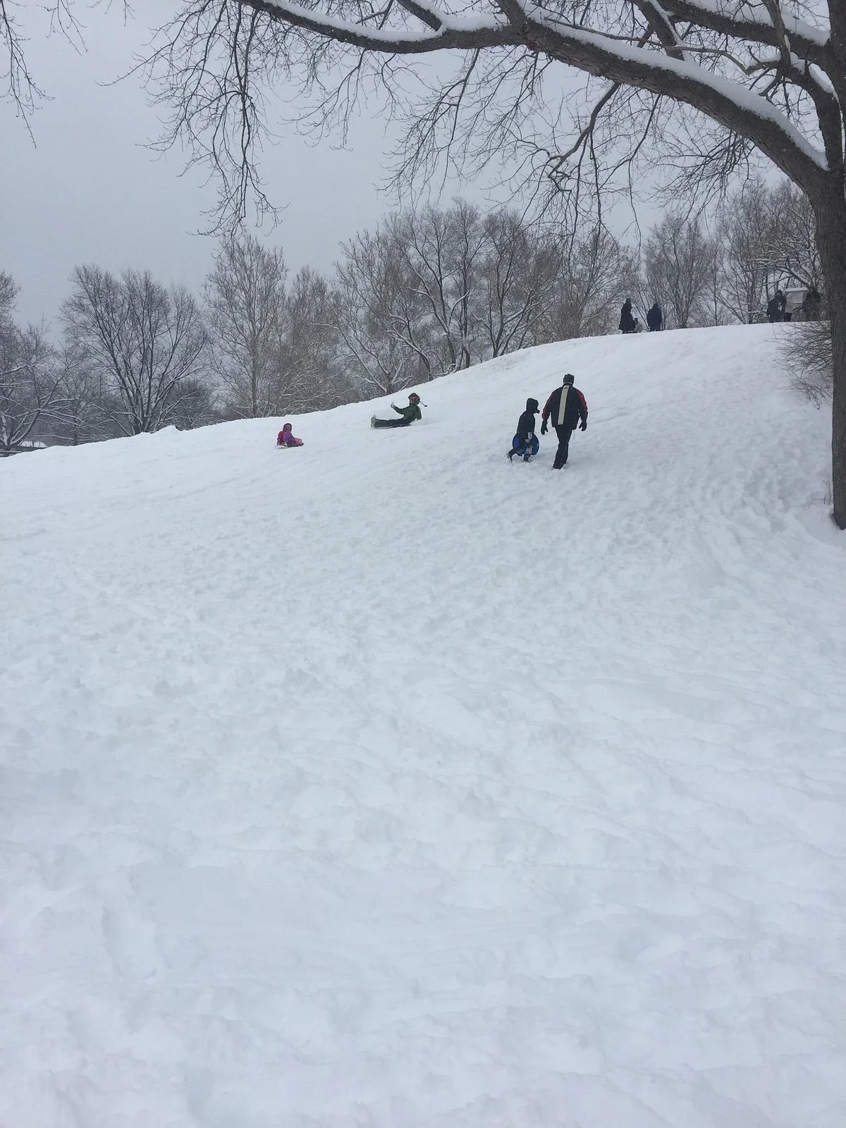 Centennial Park Champaign