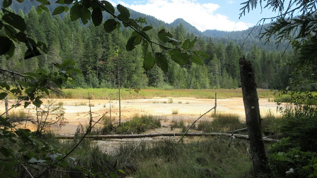 Longmire Springs