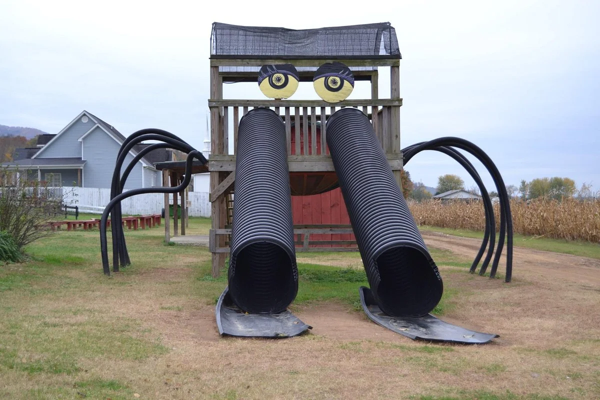 Fender's Farm and Corn Maze